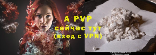 ECSTASY Новозыбков