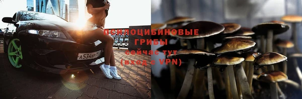 ECSTASY Новозыбков