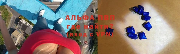 ECSTASY Новозыбков
