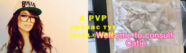 ECSTASY Новозыбков