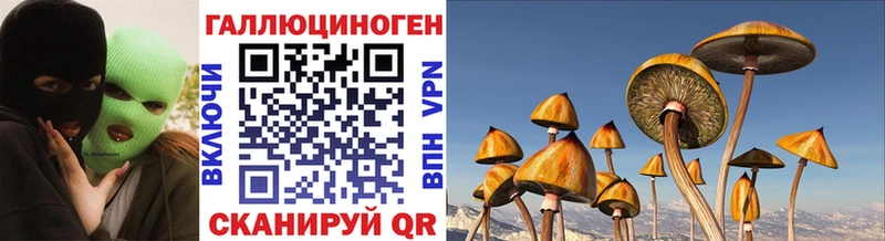 Псилоцибиновые грибы Magic Shrooms  ОМГ ОМГ ссылка  Власиха  где найти  
